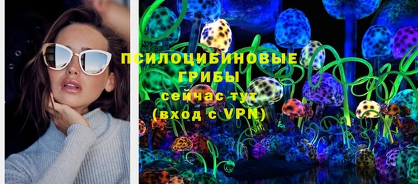 прущий лед Алексин
